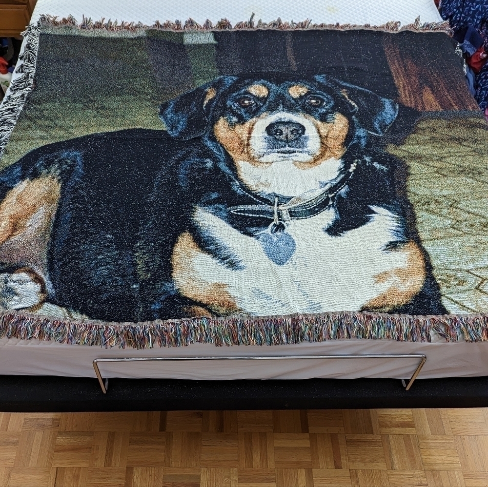 Mountain Bernese Dog 100% Cotton Tapestry Woven Throw Blanket 62x54